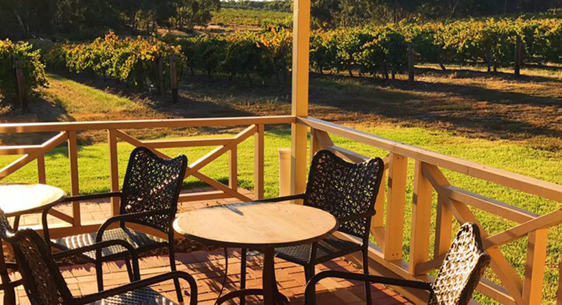 Schubert Estate chairs in the sun and vineyard in the background